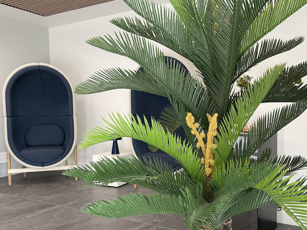 espace attente centre union laser vision toulouse chirurgie refractive operation cataracte toulouse